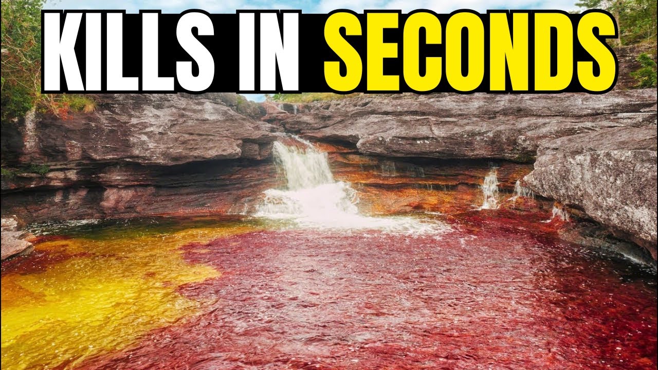 This River Will Kill You in 10 Seconds