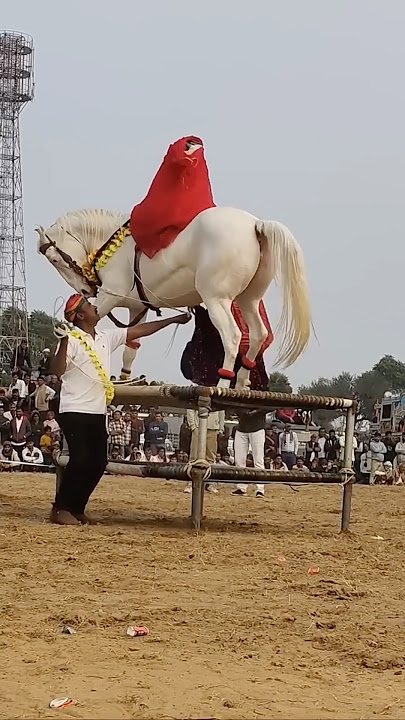 dam dam dam dika dika😭💔🙏 #trending #shorts