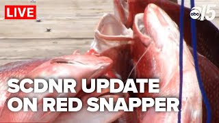 SCDNR to Announce Update on State Management of Red Snapper