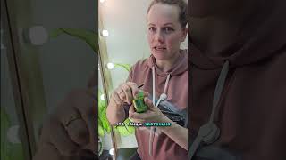 Тайский ингалятор в бочонке с травами #тайскийуголок #обзор #экокосметика #косметика