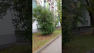 Школа в Москве. Визит к директору. Защита прав отца на ребенка. Семейный Адвокат