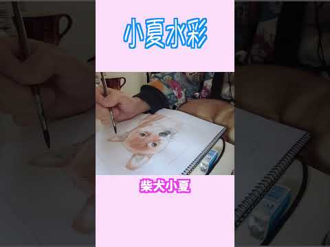 小夏水彩2　 #柴犬 #shibainu #癒し