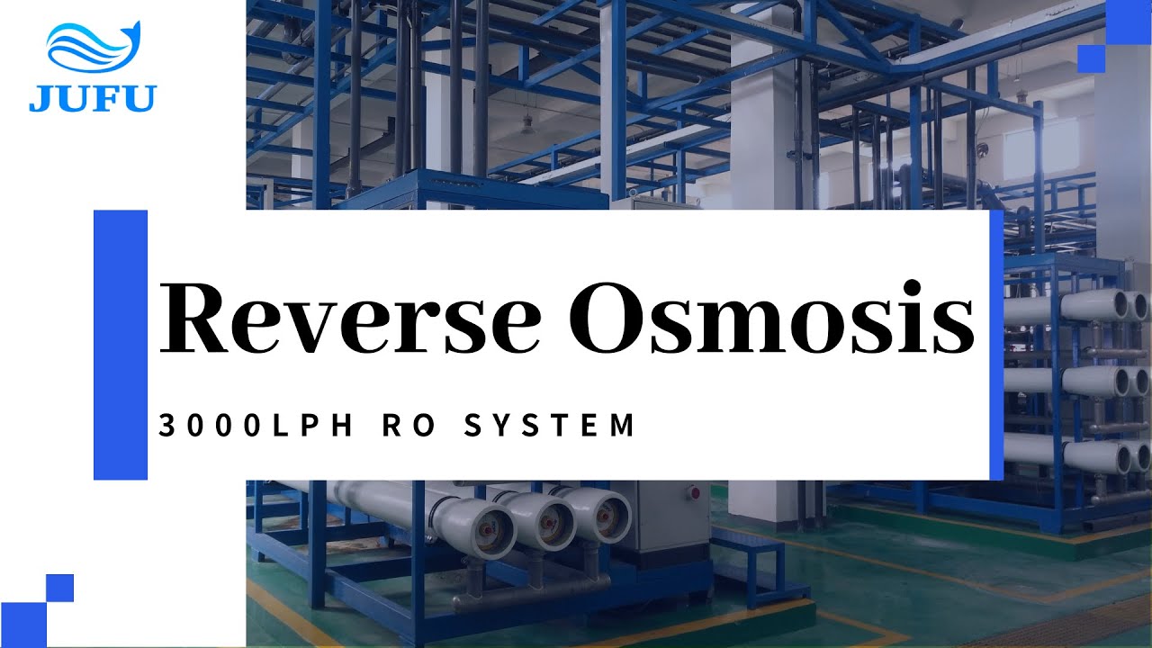 3000LPH RO System Drinking Water Treatment Reverse Osmosis Plant from ...