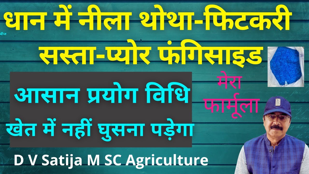 Dhan me copper sulphate ke fayde neela thotha fungicide alluminium