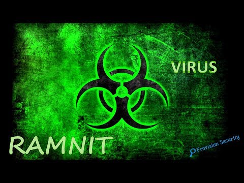 Virus Ramnit/Nimnul: я заставлю тебя страдать. Что такое файловый вирус и как его вылечить?