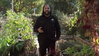 Seneca Scott | Oakland Mayoral Candidate 2022