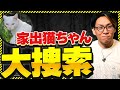 【緊急依頼】家出した猫ちゃんに、まだ生きてるのか?聞いてみた