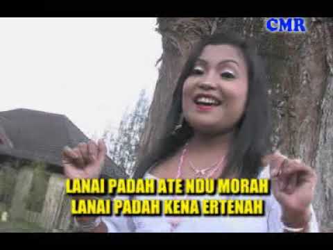 Perkede La Megogo - 12 Nonstop House Music Karo DUO RIBUNA (Official Music Video)