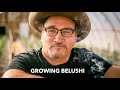 GROWING BELUSHI | JIM BELUSHI