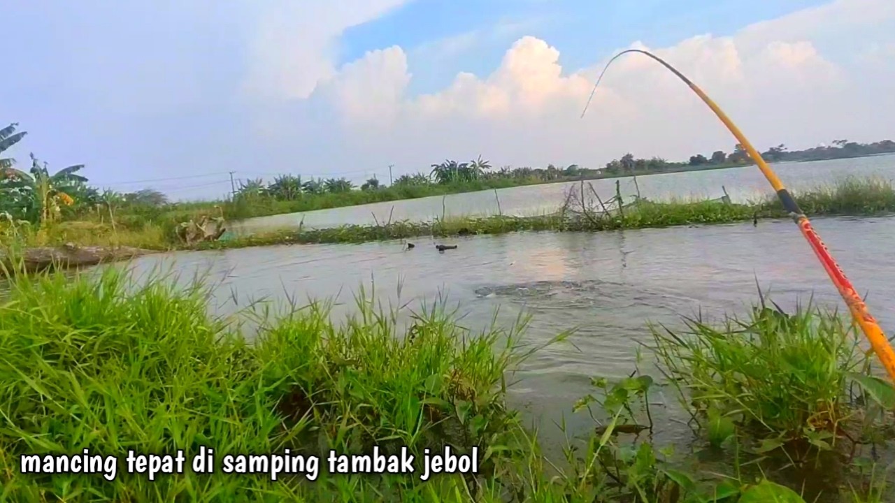 Gak kaget bila mancing di sini dapat banyak dalam waktu singkat