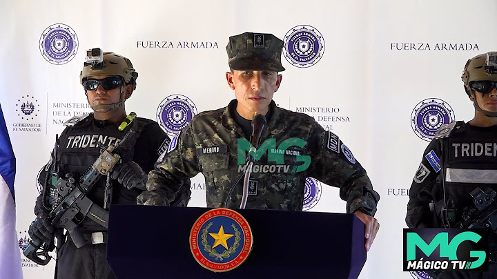 Autoridades de El Salvador aclaran situación de contenedor con café y droga incautado en Panamá