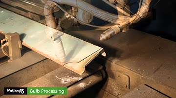 Bulb Processing - PythonX Video