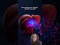 Your Liver Can Fail Silently ⚠️ #anatomy #liverhealth