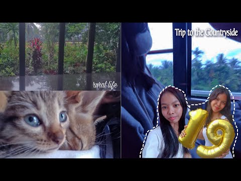 Countryside Vlog• Rural Life 001 | Mille