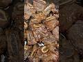 BEST Beef Short Ribs GALBI BEST Beef Short Ribs GALBI