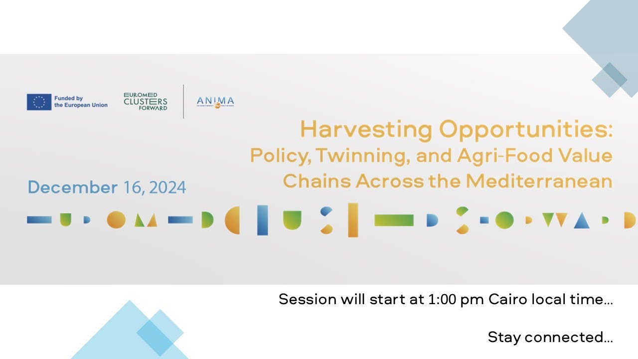 Harvesting Opportunities: Policy, Twinning, and Agri-Food Value Chains Across the Mediterranean