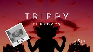 The Acid | Animal | Trippy Tuesdays