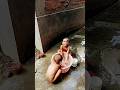 Ref:gVE2NIxJrXE Jol bachano avijan #shortsvideo #funny #vairalvideo #youtubeshorts #cutebaby