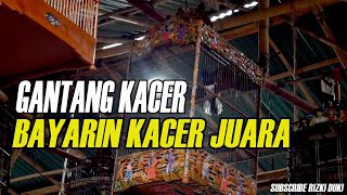 Gantang kacer RAMA auto moncer