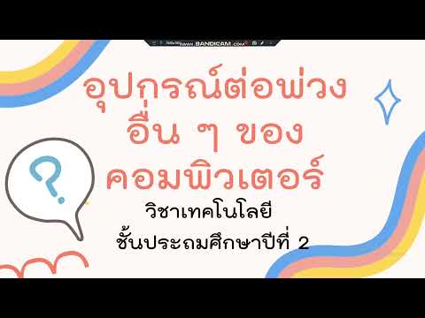 อุปกรณ์ต่อพ่วง อื่น ๆ ของคอมพิวเตอร์ ป.2