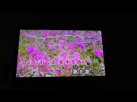 【男だけど歌ってみた】　パプリカ　Foorin カラオケ