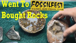 A Visit to Fossil Fest: A Huge Fossil and Mineral Show! #fossil #dinosaur #rockhounding #lapidary