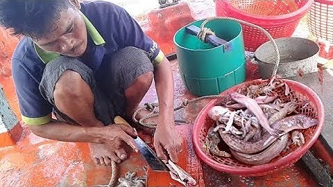 Bắt cá. bắt hải sản "Nấu Canh Chua" ăn cơm trên ghe | Ngư Dân Miền Tây - Tập 3