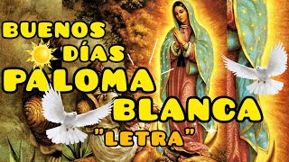 Buenos Días Paloma Blanca "Letra" | Vers. Estudiantina. chords