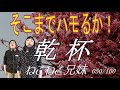 【 もはや 涙が出そうなハーモニー 】乾杯_ねこねこ兄妹 050/100 [毎週水曜日にアップ]