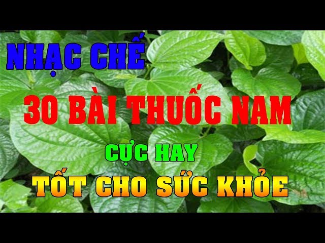 Nhạc chế : 30 bài thuốc nam cực hay| Tốt cho sức khỏe | Dh#5 - Duy Hưng class=