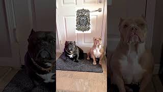 Its Quality Over Quany At My Camp