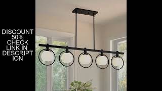 Modern 5-Light Adjustable Chandelier with Glass Shades Black Metal Frame Pendant Light Fixture Hangi