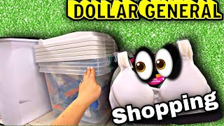 TOTES 😵 1¢ 🔥 Penny Shopping 🍀 Dollar General 🤣