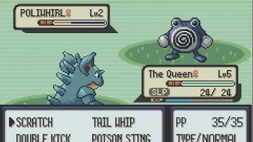 Nuzlocke Challenge (Randomizer) Part 1 - Pokemon Emerald