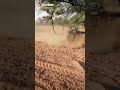 ا ضحك معا افضل مزارع يفحط داخل الحول