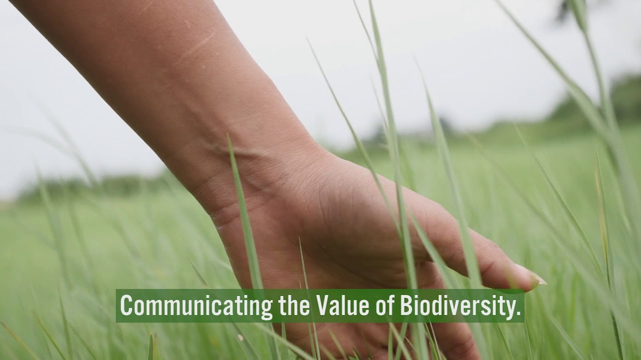 Communicating biodiversity promo