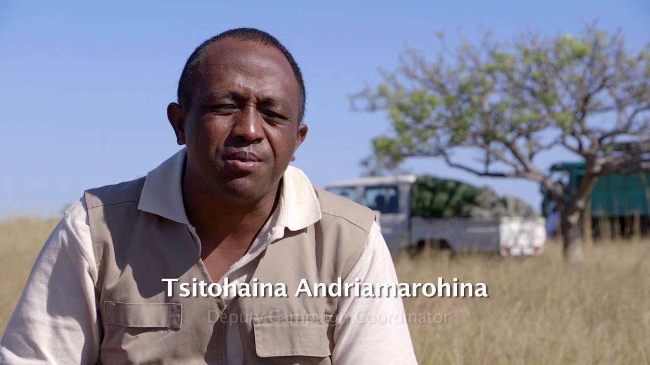 RESULTS OF THE THREE-YEAR PROGRAMME (2013-2016) IN RESPONSE TO THE LOCUST PLAGUE IN MADAGASCAR