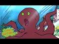 À l'aquarium | Lucas La Cata | dessin animé pour petit