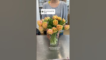 Tulip arranging technique using 20 tulips. Works like a charm using 20, 60, or 120 tulips. #tulip