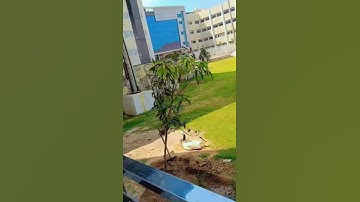 Thumbnail of beautiful moments #song