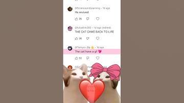 Remixing my Comments 😂 THE CAT WAS VERY HUNGRY 🤣