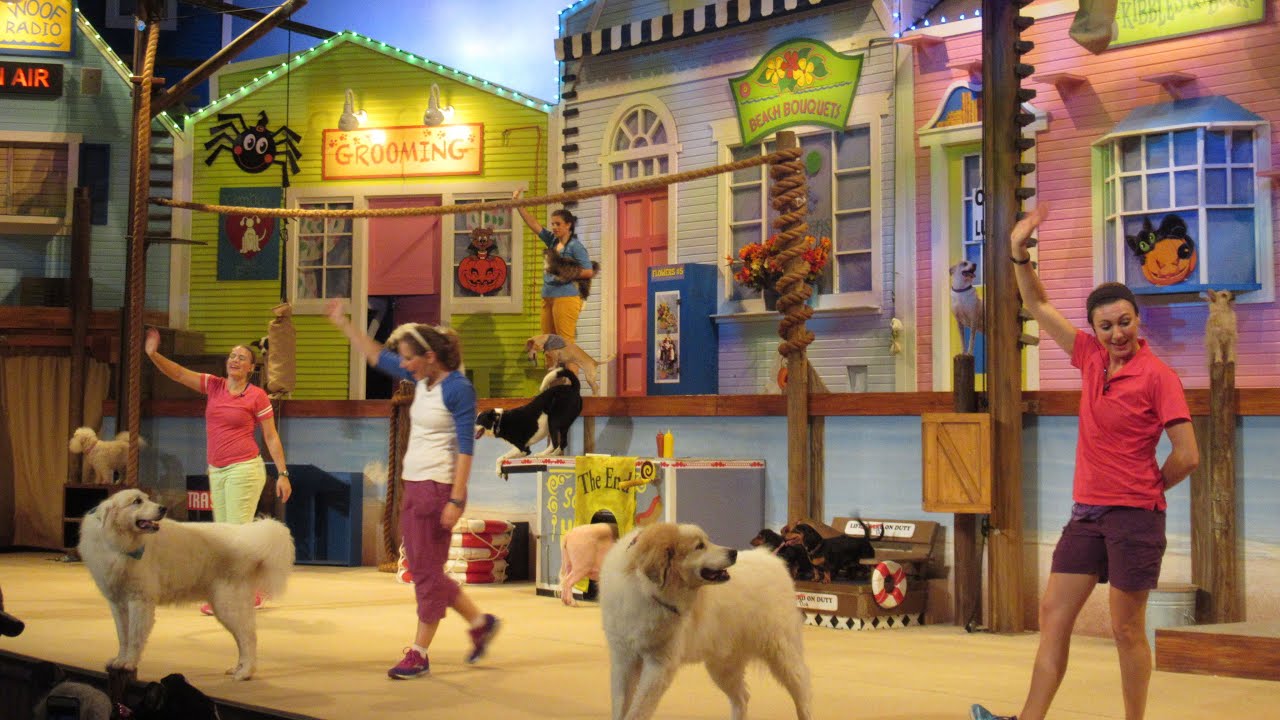 SeaWorld Pets Ahoy Show in San Antonio Texas YouTube