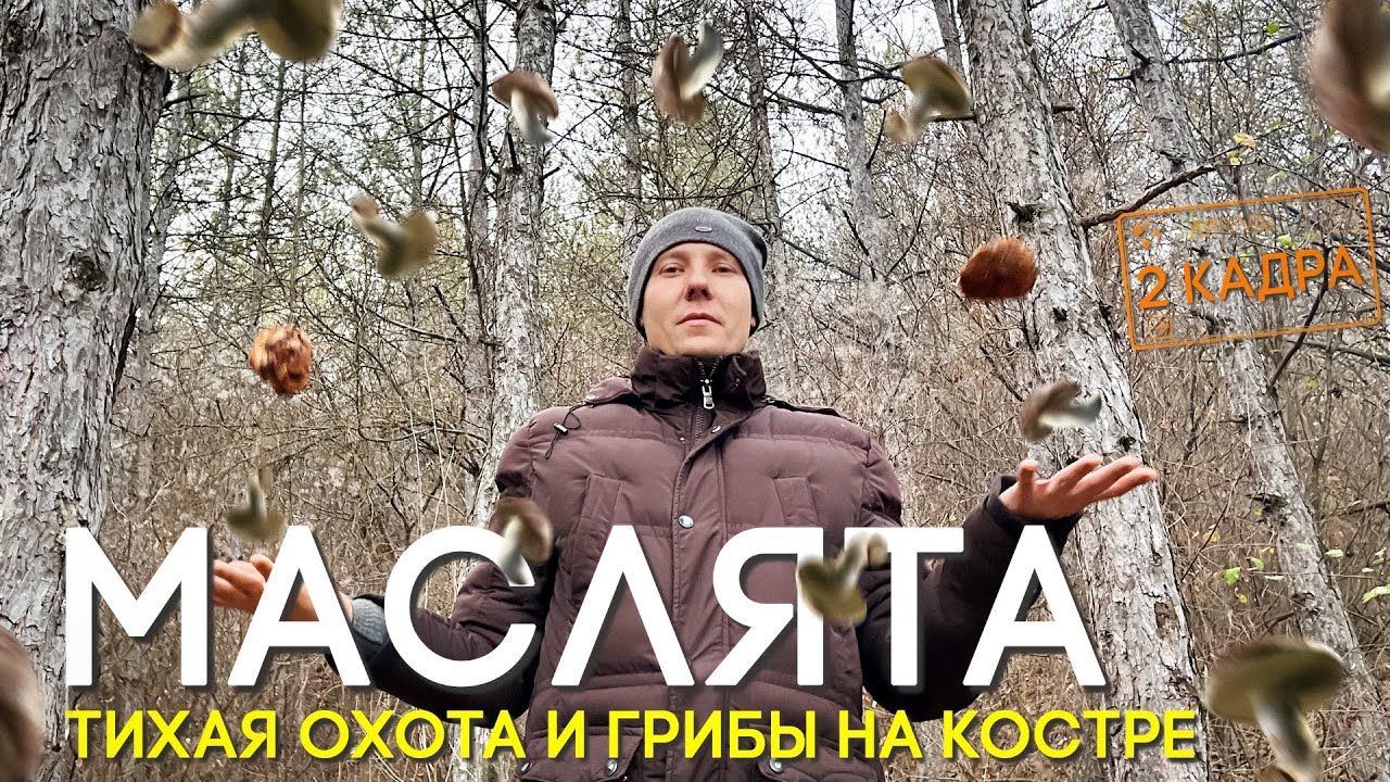 Маслята. Тихая охота и грибы на костре. 2 кадра. Перезагрузка 23.11.2023