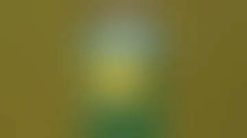 دوبله سمی باب اسفنجی 