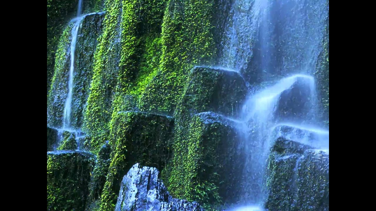 שני עלים לתרופה הרב אליהו גודלבסקי חובה!