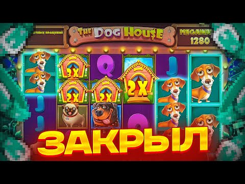 Видео: МЕГА ДОРОГОЙ БОНУС И 4 ЛАПЫ В DOG HOUSE MEGAWAYS! ЗАКРЫЛ ПОЛЯНУ СОБАК! 500К ИЛИ 0? ДОГ ХАУС МЕГАВЕЙС