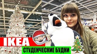 МОЯ СТУДЕНЧЕСКАЯ ЖИЗНЬ в ожидании ЧУДА / Я учусь в КФУ/ НОВОГОДНИЙ ШОПИНГ IKEA, H&M/ Vlog МОЯ СТУДЕНЧЕСКАЯ ЖИЗНЬ в ожидании ЧУДА / Я учусь в КФУ/ НОВОГОДНИЙ ШОПИНГ IKEA, H&M/ Vlog