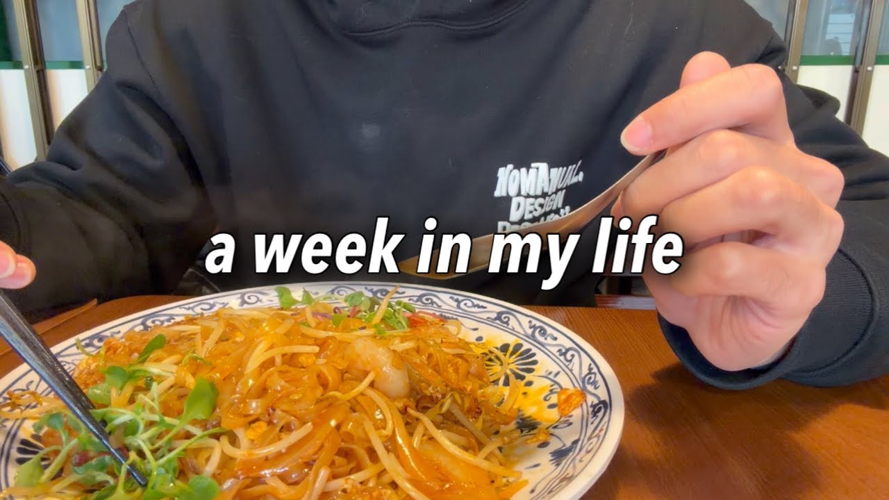 sub) Влог корейского офисного работника (с очень милым котом)