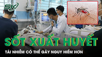 Chuyên Gia Cảnh Báo Tái Nhiễm Sốt Xuất Huyết Có Thể Gây Nguy Hiểm, Diễn Biến Nặng Hơn | SKĐS