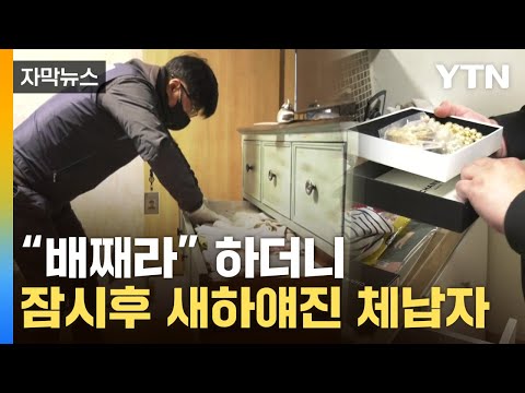 [자막뉴스] 새로운 징수 기법 개발 ...체납자 통쾌한 철퇴 / YTN